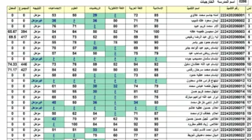 كشوفات pdf نتائج السادس الابتدائي 2025 دور اول عبر موقع نتائجنا نتائج السادس البصرة العراق